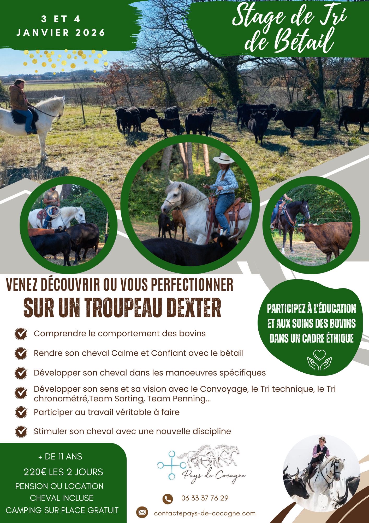 🐃 Travail du Bétail